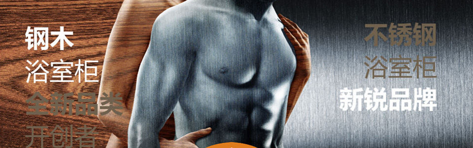 乐浪卫浴 形象图