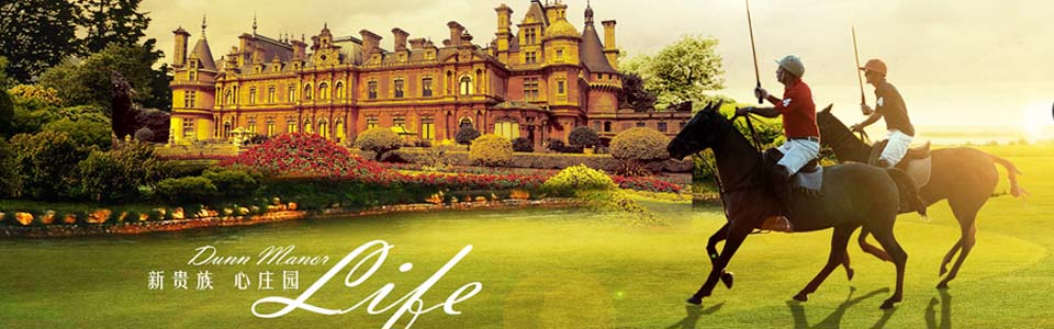 芒果瓷砖 形象图