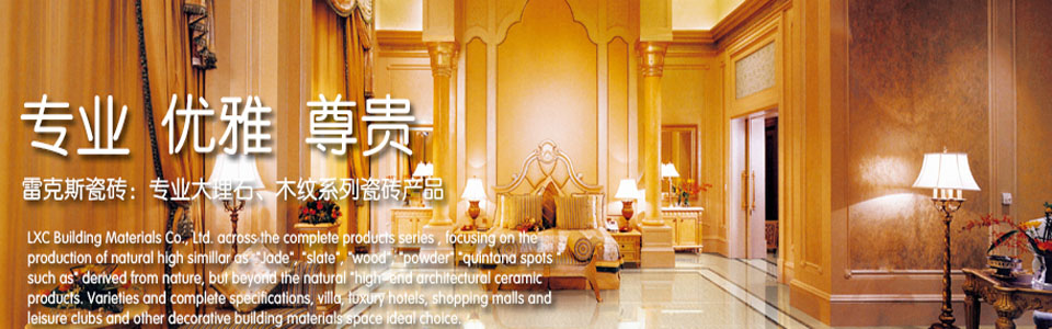 雷克斯瓷砖 形象图