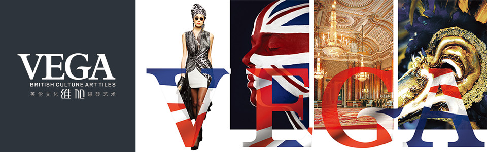 VEGA维加磁砖形象图